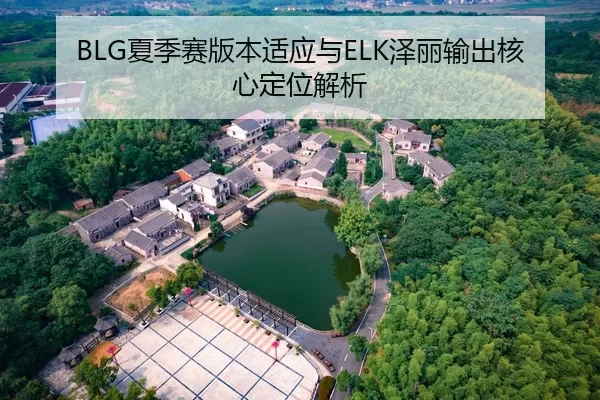 xia-ji-sai-ban-ben-shi-ying-yu-ze-li-shu-chu-he-xin-ding-wei-jie-xi-1-525.jpg
