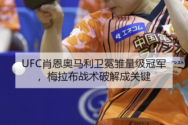 xiao-en-ao-ma-li-wei-mian-chu-liang-ji-guan-jun-mei-la-bu-zhan-shu-po-jie-cheng-guan-jian-2-941.jpg