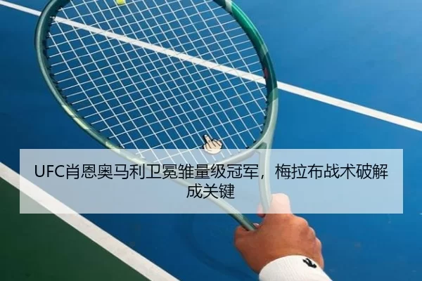 xiao-en-ao-ma-li-wei-mian-chu-liang-ji-guan-jun-mei-la-bu-zhan-shu-po-jie-cheng-guan-jian-3-406.jpg
