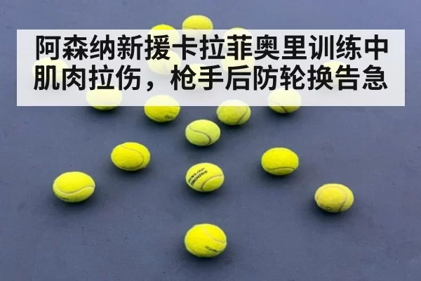 阿森纳新援卡拉菲奥里训练中肌肉拉伤，枪手后防轮换告急